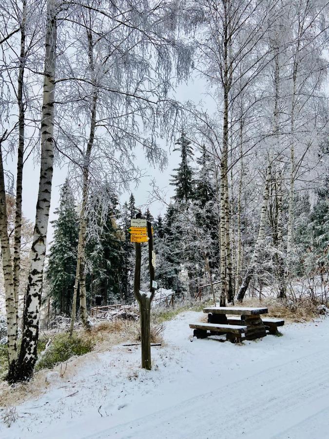 Utulny Apartman V Srdci Krkonos Se Saunou Jablonec nad Jizerou Kültér fotó